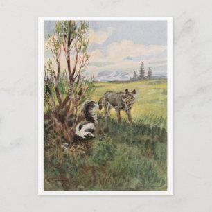 Vintage Illustration Postcard