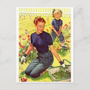 Vintage Illustration Postcard