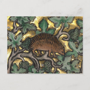 Vintage Illustration Postcard