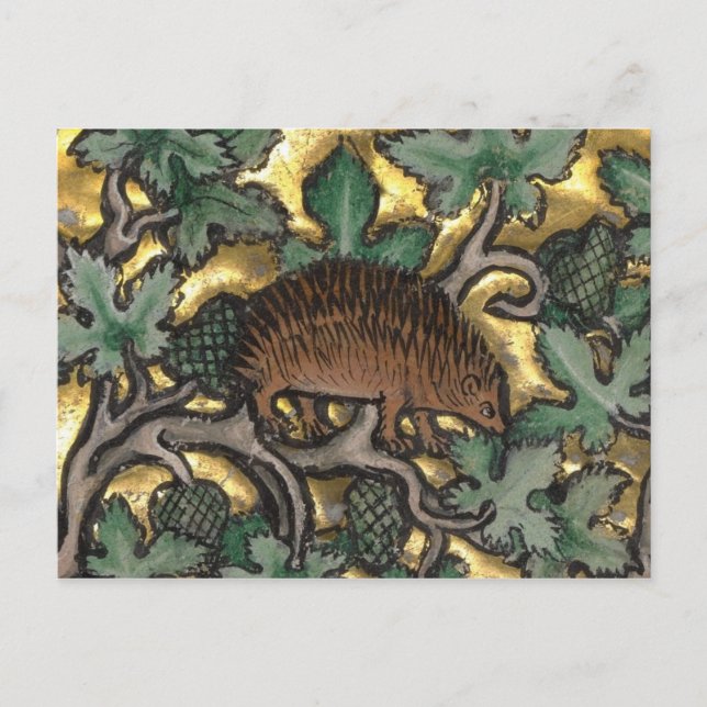 Vintage Illustration Postcard (Front)