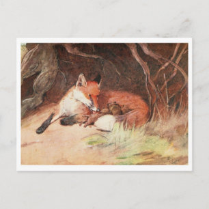 Vintage Illustration Postcard