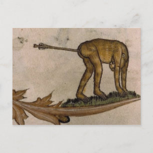 Vintage Illustration Postcard