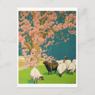 Vintage Illustration Postcard