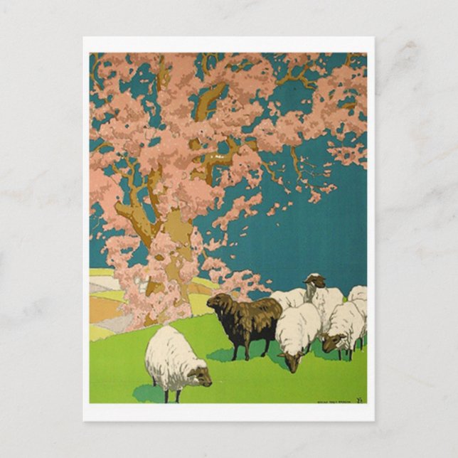 Vintage Illustration Postcard (Front)