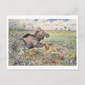 Vintage Illustration Postcard