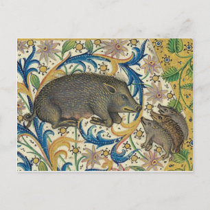 Vintage Illustration Postcard