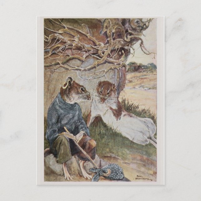 Vintage Illustration Postcard (Front)