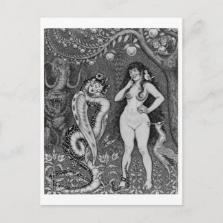 Vintage Illustration Postcard