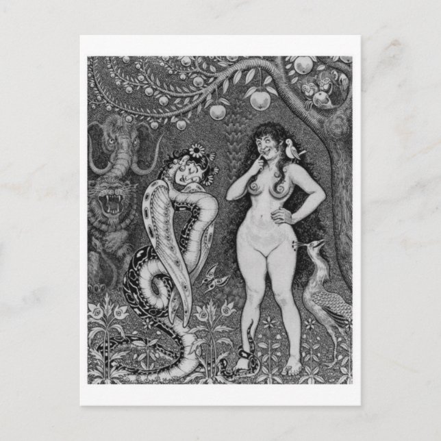 Vintage Illustration Postcard (Front)