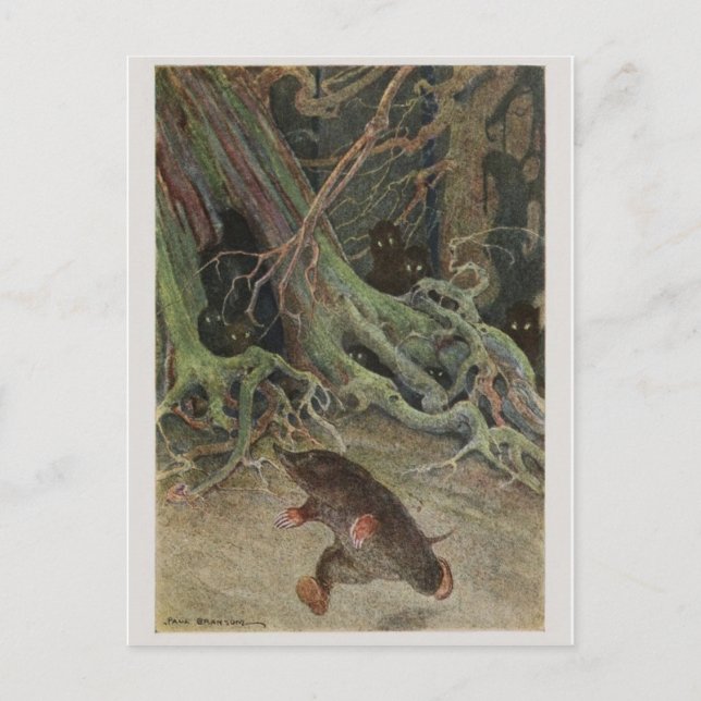 Vintage Illustration Postcard (Front)