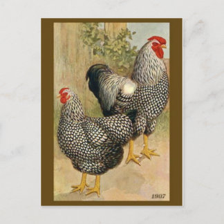 Vintage Illustration Postcard