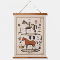 Vintage Illustration Race Horse Equestrian