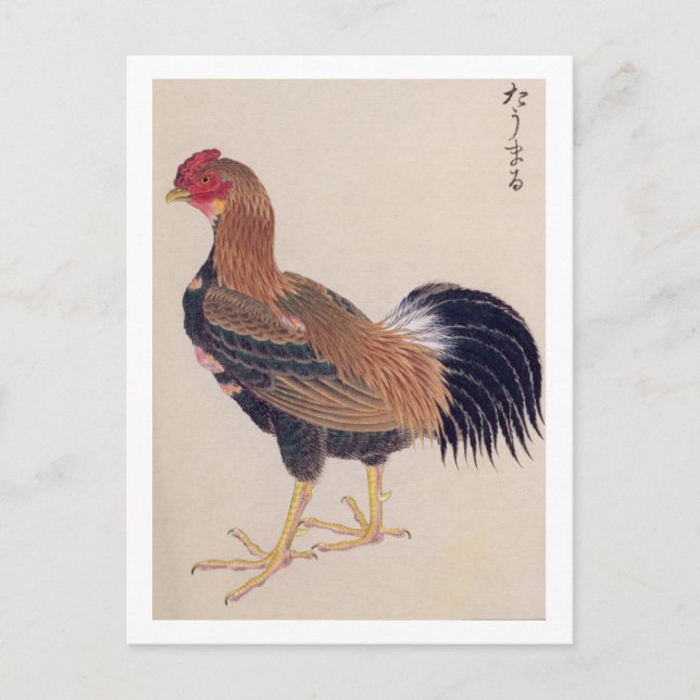 Vintage illustration: Tomaru Postcard (Front)