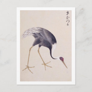 Vintage illustration: White-naped crane Postcard