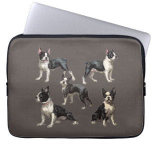 Vintage Illustrations of Boston Terriers on Taupe Laptop Sleeve