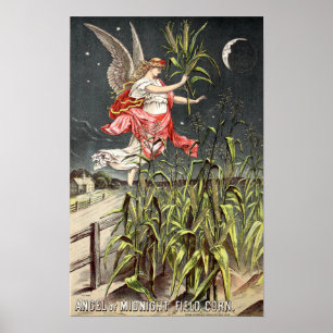 Vintage Image From 1886 Seed Catalogue Poster