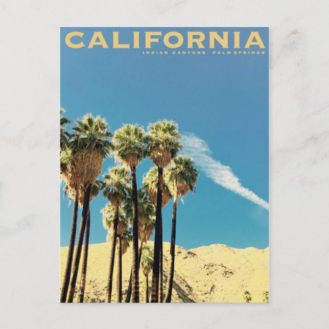 Vintage Indian Canyons Palm Springs Travel Invitation Postcard (Front)