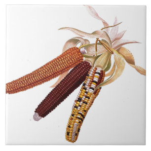 Vintage Indian Corn Tile