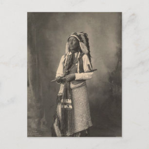Vintage indian : Little Chief, Arapahoe - Postcard