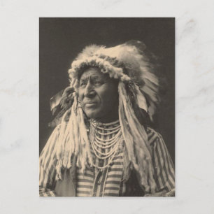 Vintage indian : White Swan, Crow - Postcard