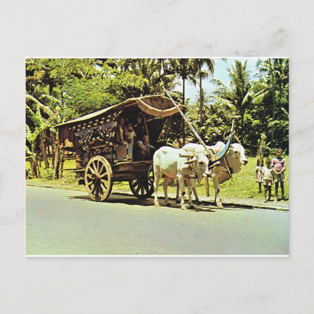 Vintage Indonesia, Gerobag, central Java Postcard (Front)