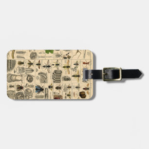 Vintage Insect Chart Luggage Tag