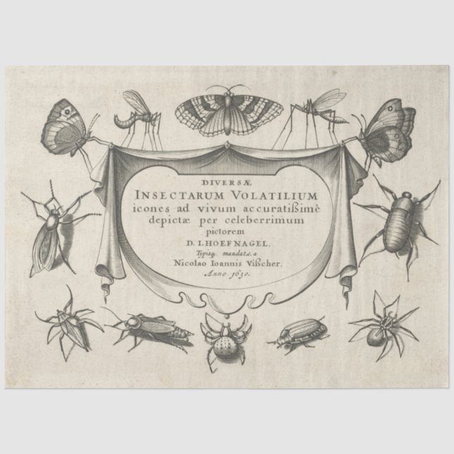 Vintage Insect Decoupage Tissue Paper (Front)