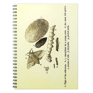 Vintage Insect Image   Silkworm   Moth Spiral Notebook