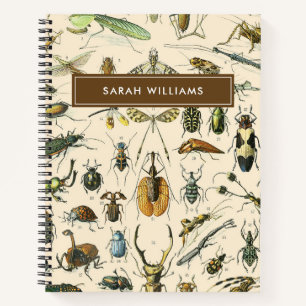 Vintage Insect Notebook