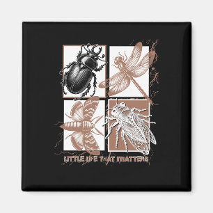 Vintage Insects - Beetle  Magnet