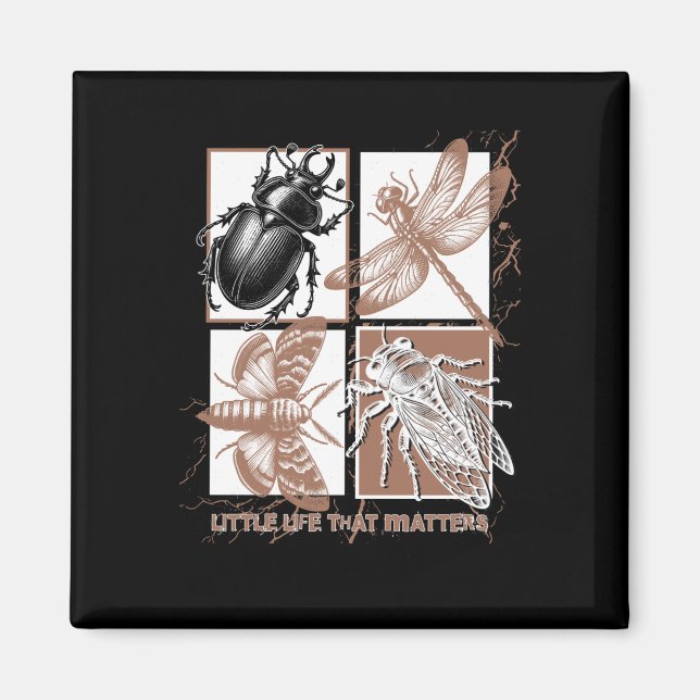 Vintage Insects - Beetle  Magnet (Front)