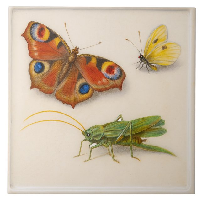 Vintage Insects Ceramic Tile (Front)