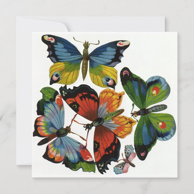 Vintage Insects or Bugs, Beautiful Butterflies (Front)
