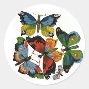 Vintage Insects or Bugs, Beautiful Butterflies Classic Round Sticker