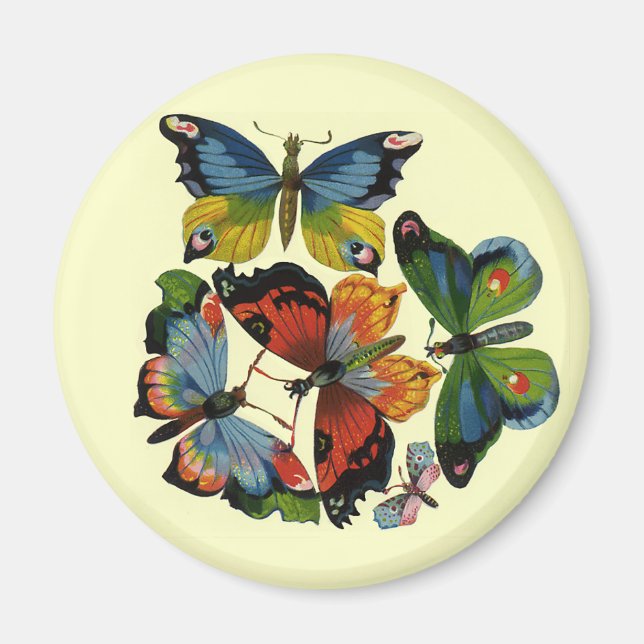 Vintage Insects or Bugs, Beautiful Butterflies Magnet (Front)