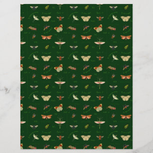 Vintage Insects Scrapbook Paper Forest Green