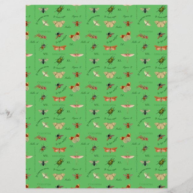 Vintage Insects Scrapbook Paper Sage Green (Front)