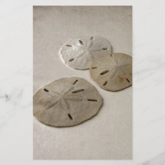 Vintage Inspired Sand Dollars Stationery