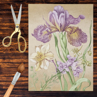 Vintage Iris Botanical Drawing in Purple and Gold Tissue Paper