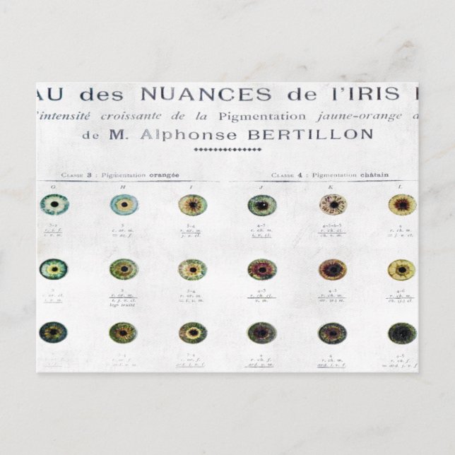 Vintage Iris Colour Chart Postcard (Front)