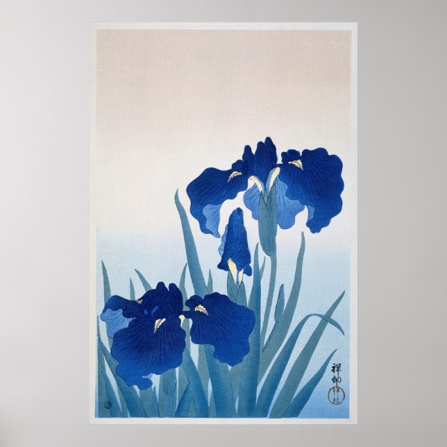 Vintage Iris Flowers Illustration Poster (Front)