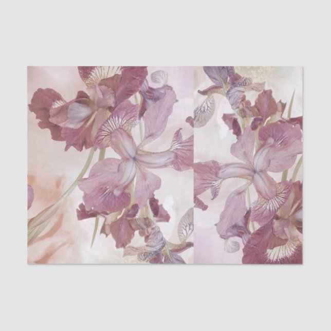 Vintage Irises Tissue Paper (Front)