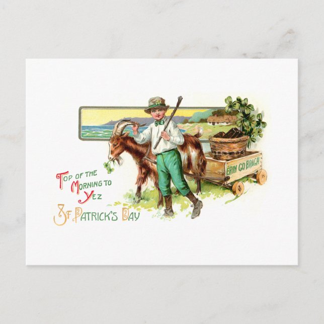 Vintage Irish Lad St. Patrick's Day Greeting Postcard (Front)
