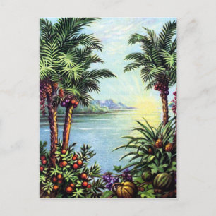 Vintage Island Postcard