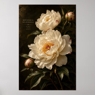 Vintage Ivory Peony Dark Floral Wall Art