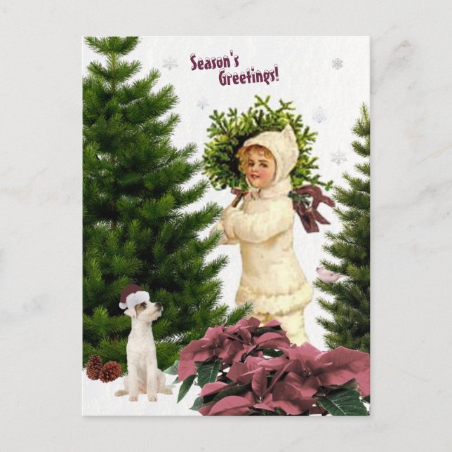 Vintage Jack Russell and Pink Poinsettias Postcard (Front)