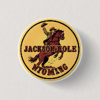 Vintage Jackson Hole Bucking Bronco wyoming gits