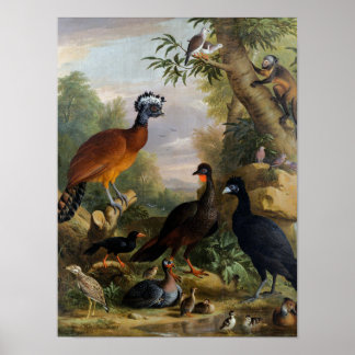 Vintage Jakob Bogdani Birds in A Landscape Poster