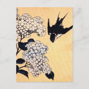 Vintage Japanese Art Hydrangea Postcard