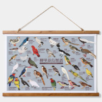 Vintage Japanese Bird Atlas Illustration